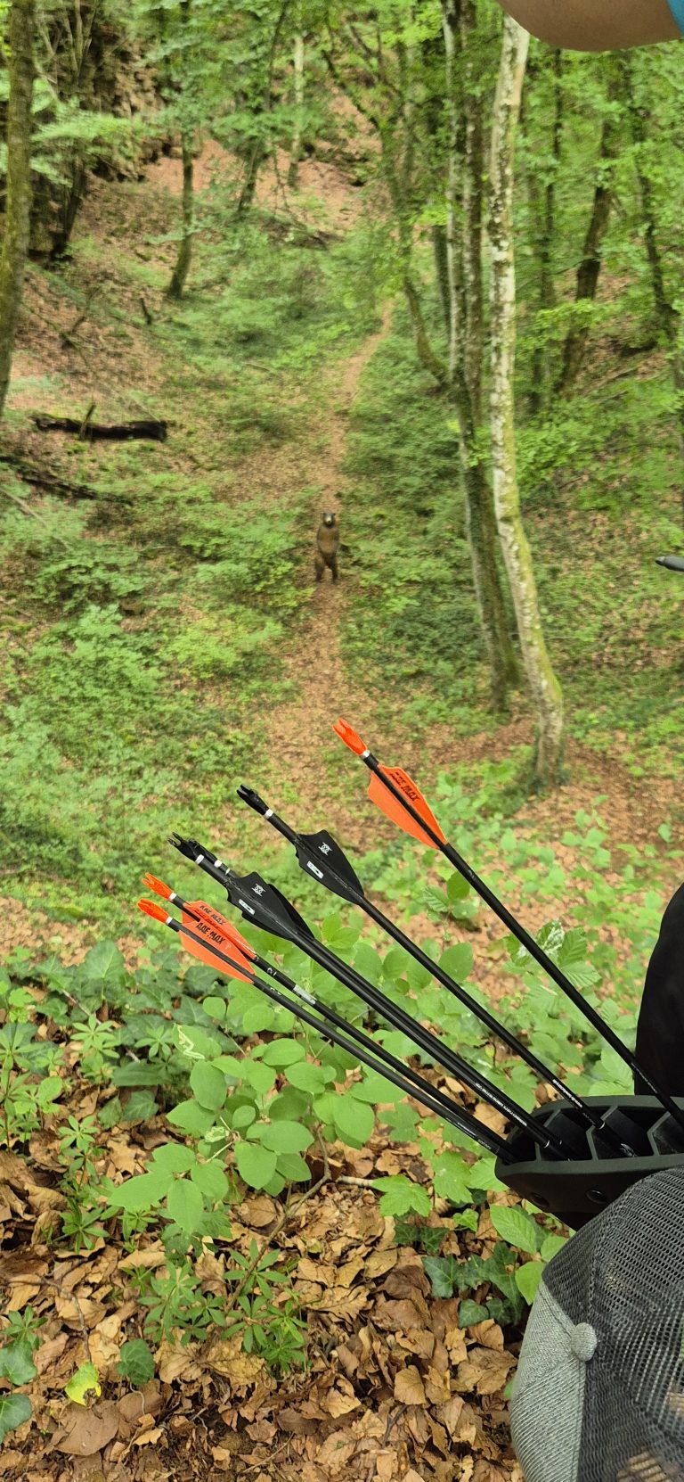 3D World Archery 2026 – Auf dem Parcours | Arrowclub Dudelange