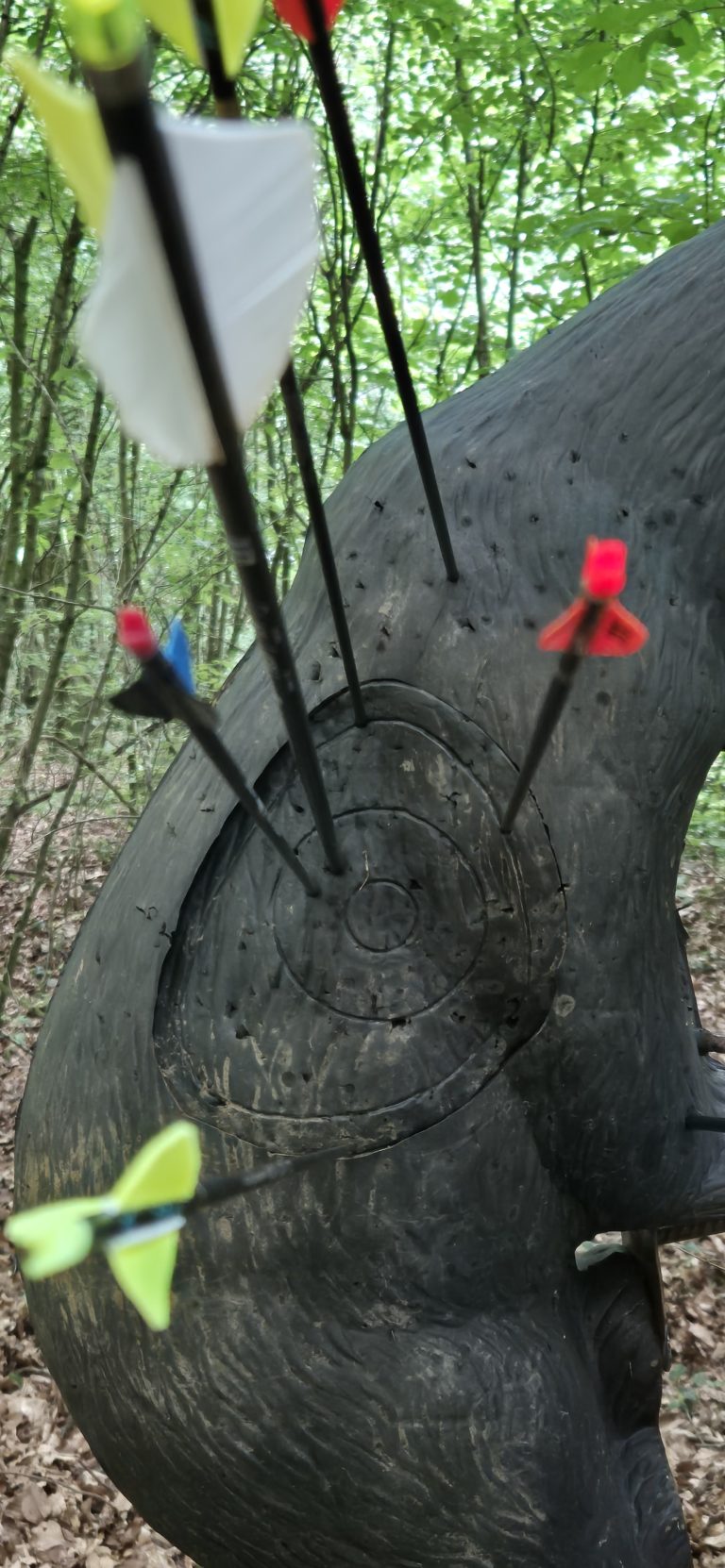 3D World Archery 2026 – 3D-Ziele | Arrowclub Dudelange