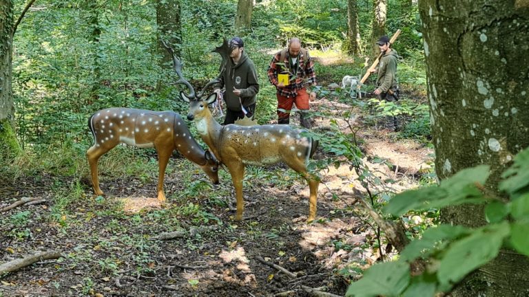 3D Geierschlucht 2021 – 3D-Ziele | Arrowclub Dudelange