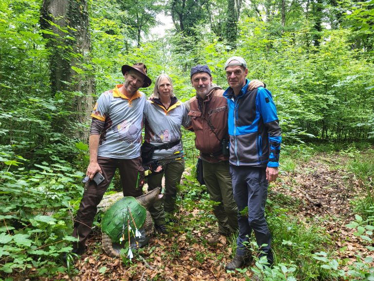 3D World Archery 2026 – Auf dem Parcours | Arrowclub Dudelange