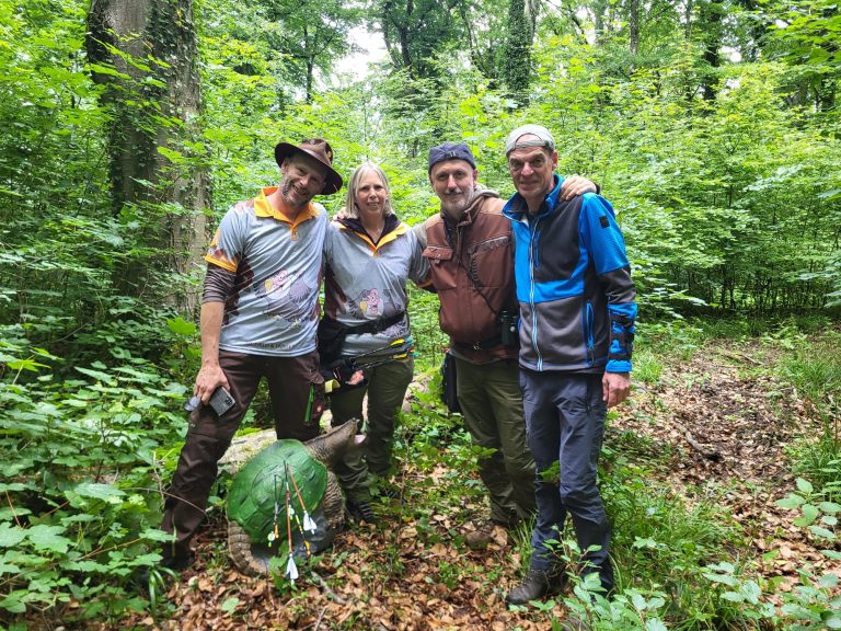 3D World Archery 2026 – Auf dem Parcours | Arrowclub Dudelange