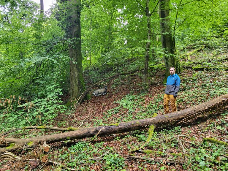 3D World Archery 2026 – Auf dem Parcours | Arrowclub Dudelange