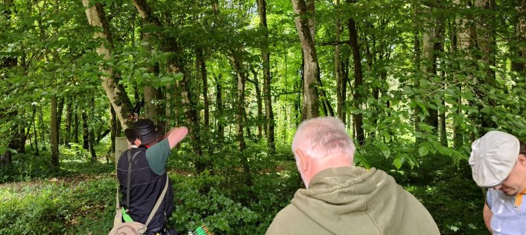 3D World Archery 2026 – Auf dem Parcours | Arrowclub Dudelange