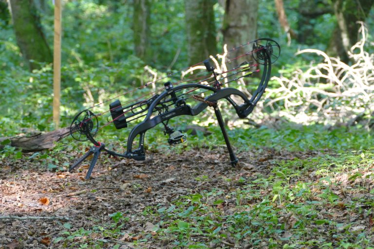3D Geierschlucht 2021 – 3D-Ziele | Arrowclub Dudelange