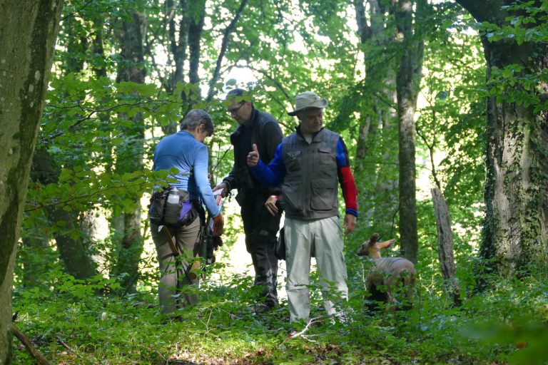 3D Geierschlucht 2021 – Auf dem Parcours | Arrowclub Dudelange