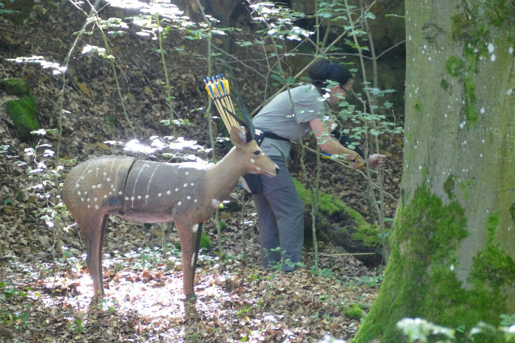3D Geierschlucht 2021 – 3D-Ziele | Arrowclub Dudelange
