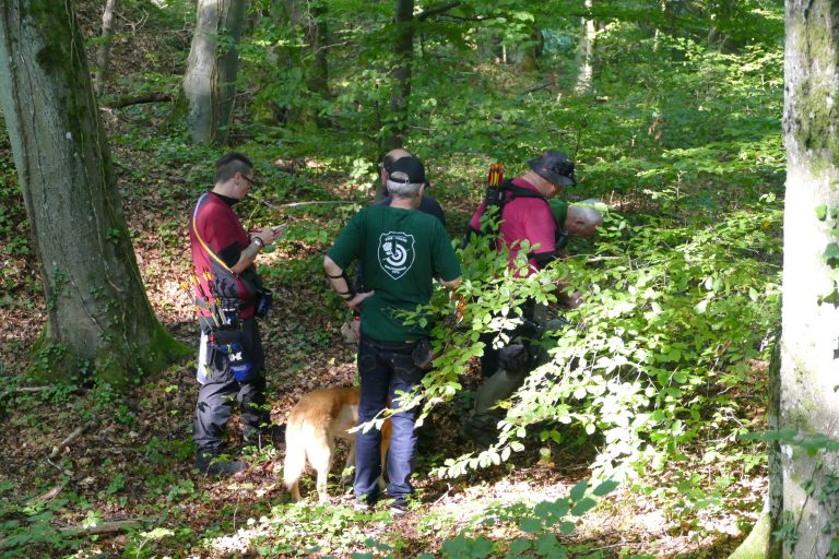 3D Geierschlucht 2021 – Auf dem Parcours | Arrowclub Dudelange