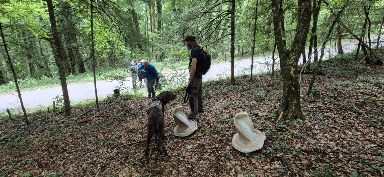 3D Geierschlucht 2025 – Bogenschützen auf dem 3D-Parcours | Arrowclub Dudelange