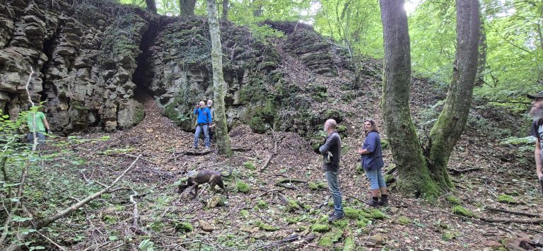 3D Geierschlucht 2025 – Bogenschützen auf dem 3D-Parcours | Arrowclub Dudelange