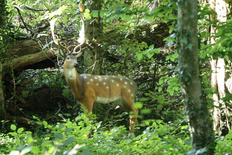 3D Geierschlucht 2025 – 3D-Tierziel auf dem Parcours | Arrowclub Dudelange