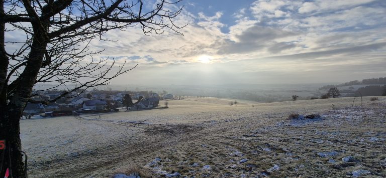 3D Stülpjagd Biersdorf am See 2025 – Bogenschützen auf dem 3D-Parcours | Arrowclub Dudelange