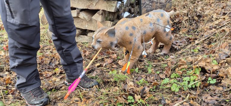 3D Stülpjagd Biersdorf am See 2025 – Bogenschützen auf dem 3D-Parcours | Arrowclub Dudelange