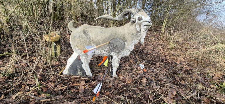 3D Stülpjagd Biersdorf am See 2025 – Bogenschützen auf dem 3D-Parcours | Arrowclub Dudelange