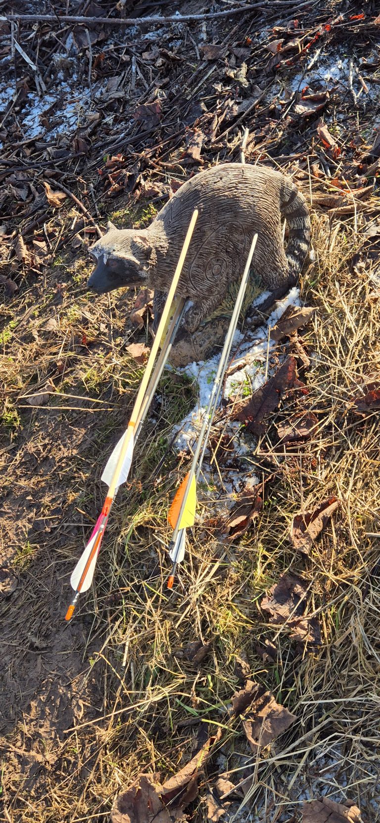 3D Stülpjagd Biersdorf am See 2025 – Bogenschützen auf dem 3D-Parcours | Arrowclub Dudelange