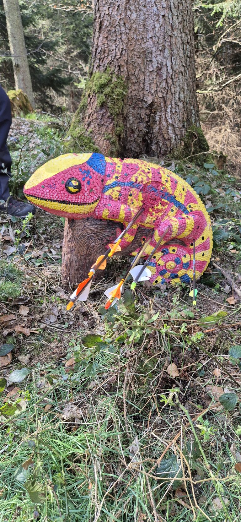 3D Zinnenschuss Biersdorf am See 2025 – 3D-Tierziel auf dem Parcours | Arrowclub Dudelange