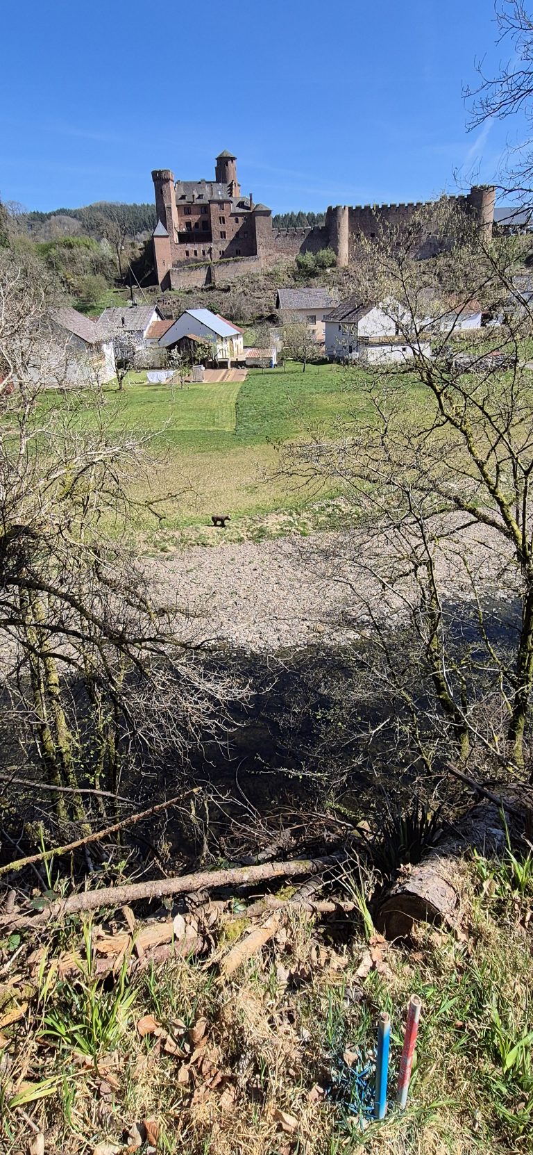 3D Zinnenschuss Biersdorf am See 2025 – Bogenschützen auf dem 3D-Parcours | Arrowclub Dudelange