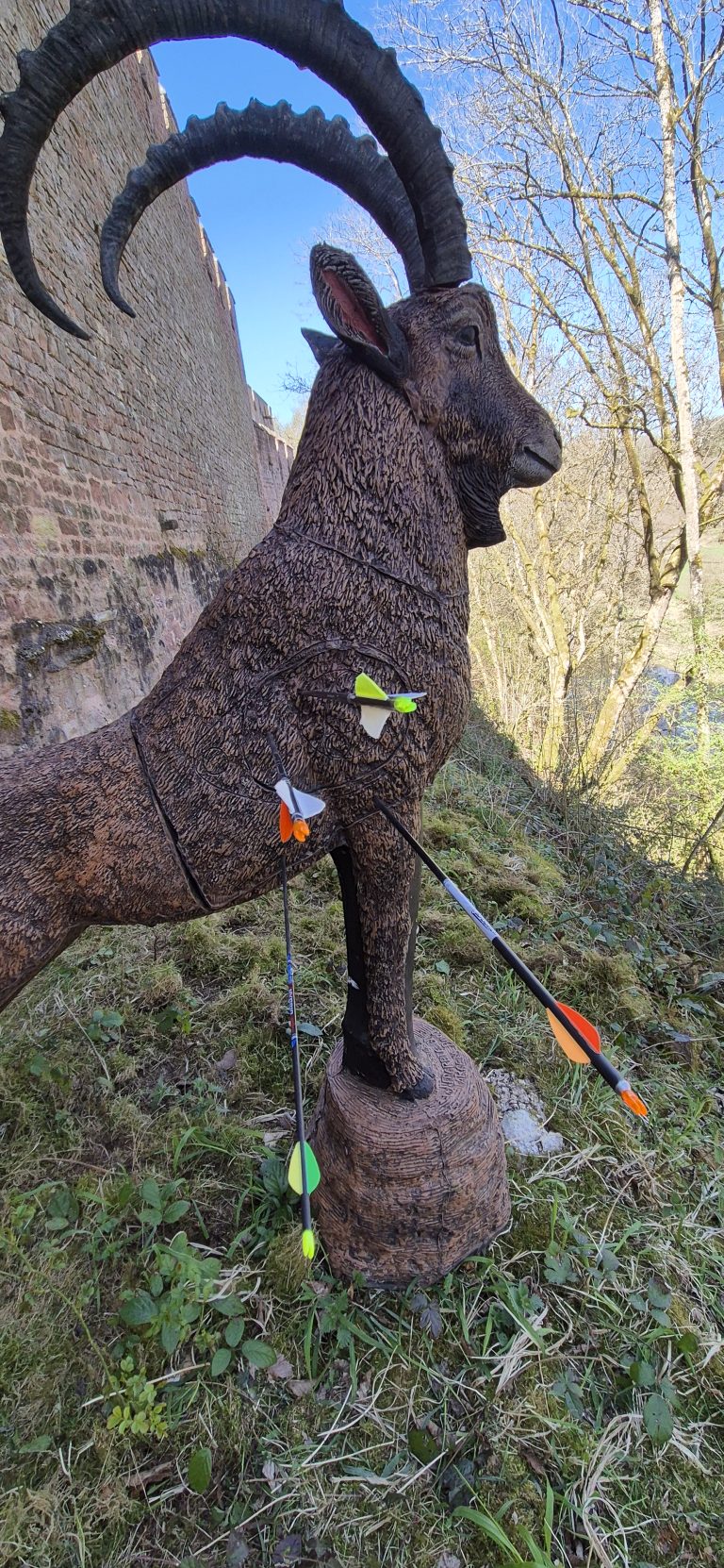 3D Zinnenschuss Biersdorf am See 2025 – 3D-Tierziel auf dem Parcours | Arrowclub Dudelange