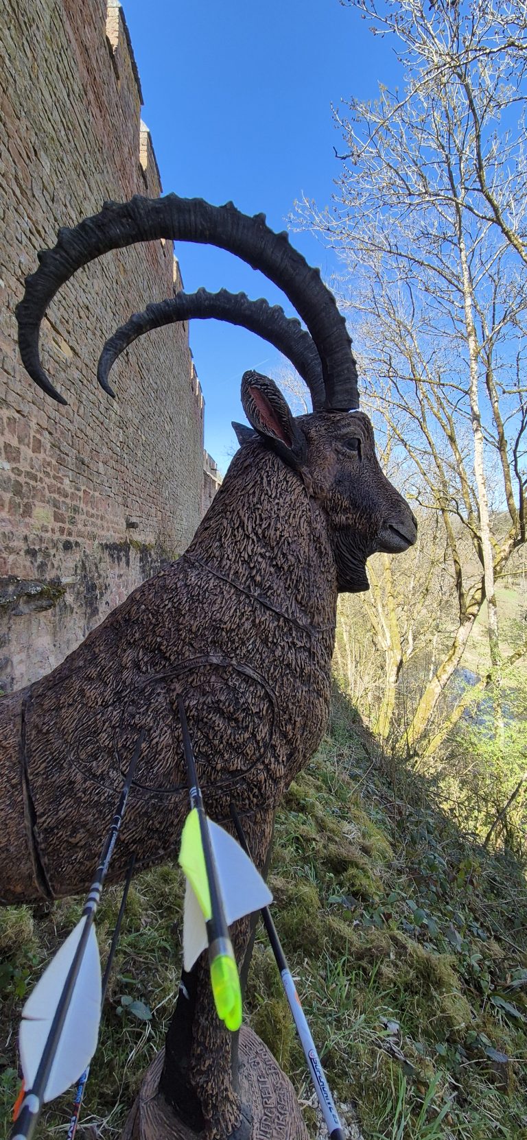 3D Zinnenschuss Biersdorf am See 2025 – 3D-Tierziel auf dem Parcours | Arrowclub Dudelange