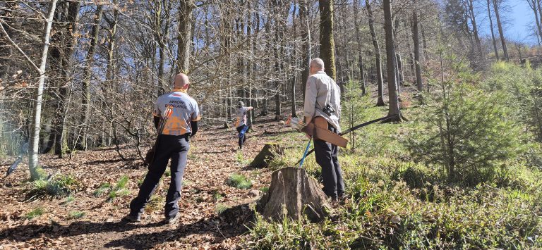 3D Zinnenschuss Biersdorf am See 2025 – Bogenschützen auf dem 3D-Parcours | Arrowclub Dudelange