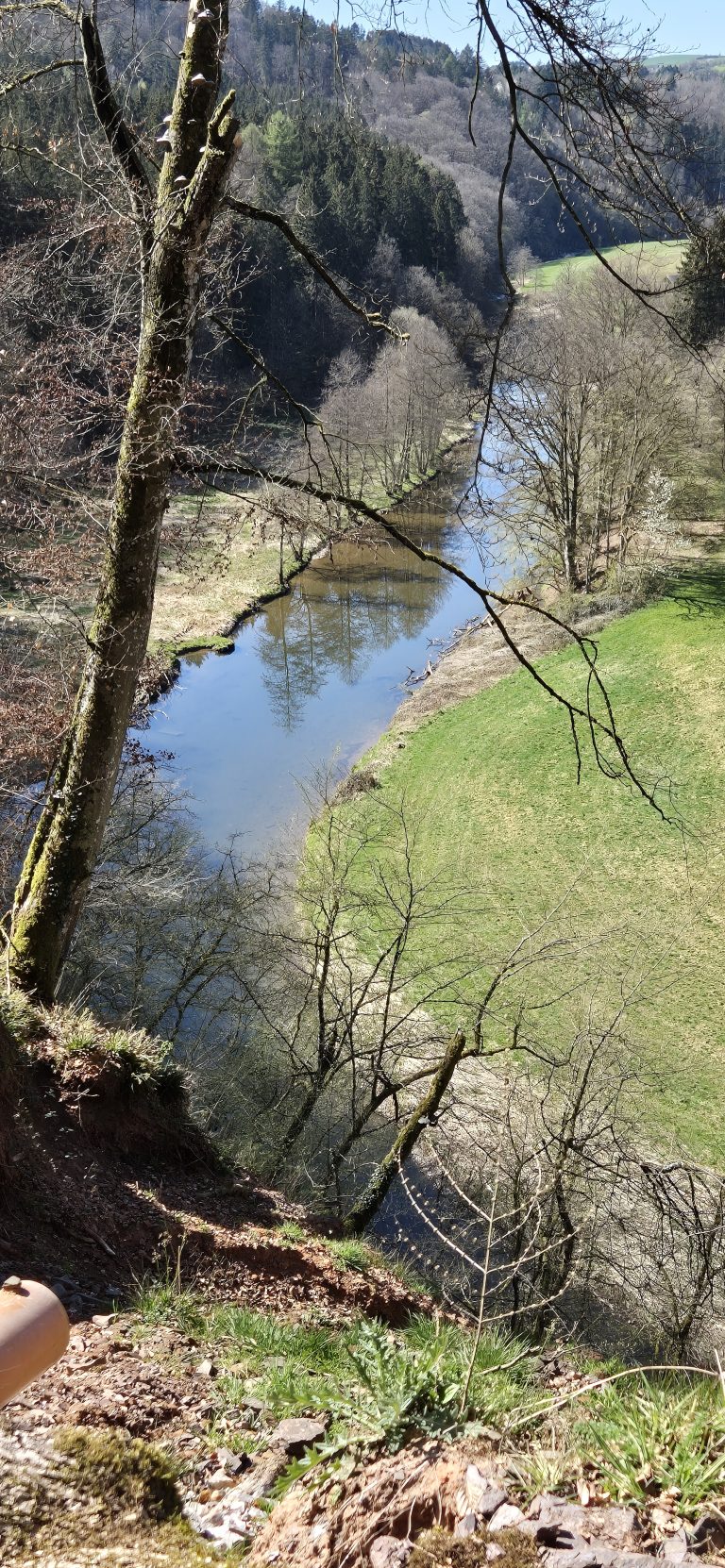 3D Zinnenschuss Biersdorf am See 2025 – Eindrücke rund um den Parcours | Arrowclub Dudelange