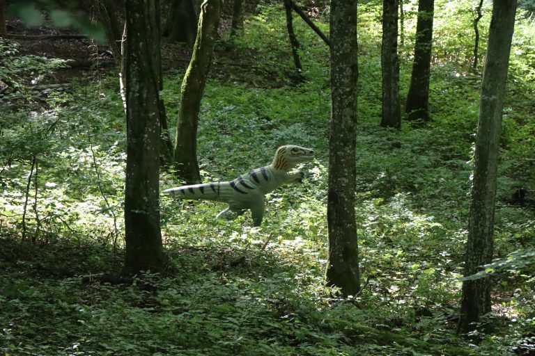 3D Geierschlucht 2025 – Bogenschützen auf dem 3D-Parcours | Arrowclub Dudelange