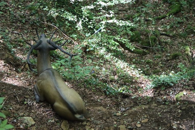 3D Geierschlucht 2025 – 3D-Tierziel auf dem Parcours | Arrowclub Dudelange