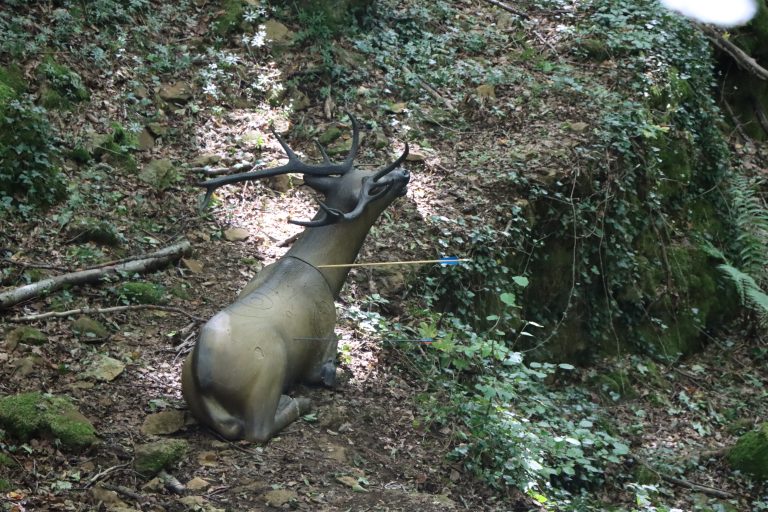 3D Geierschlucht 2025 – 3D-Tierziel auf dem Parcours | Arrowclub Dudelange