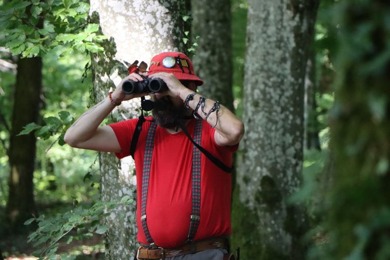 3D Geierschlucht 2025 – Bogenschützen auf dem 3D-Parcours | Arrowclub Dudelange