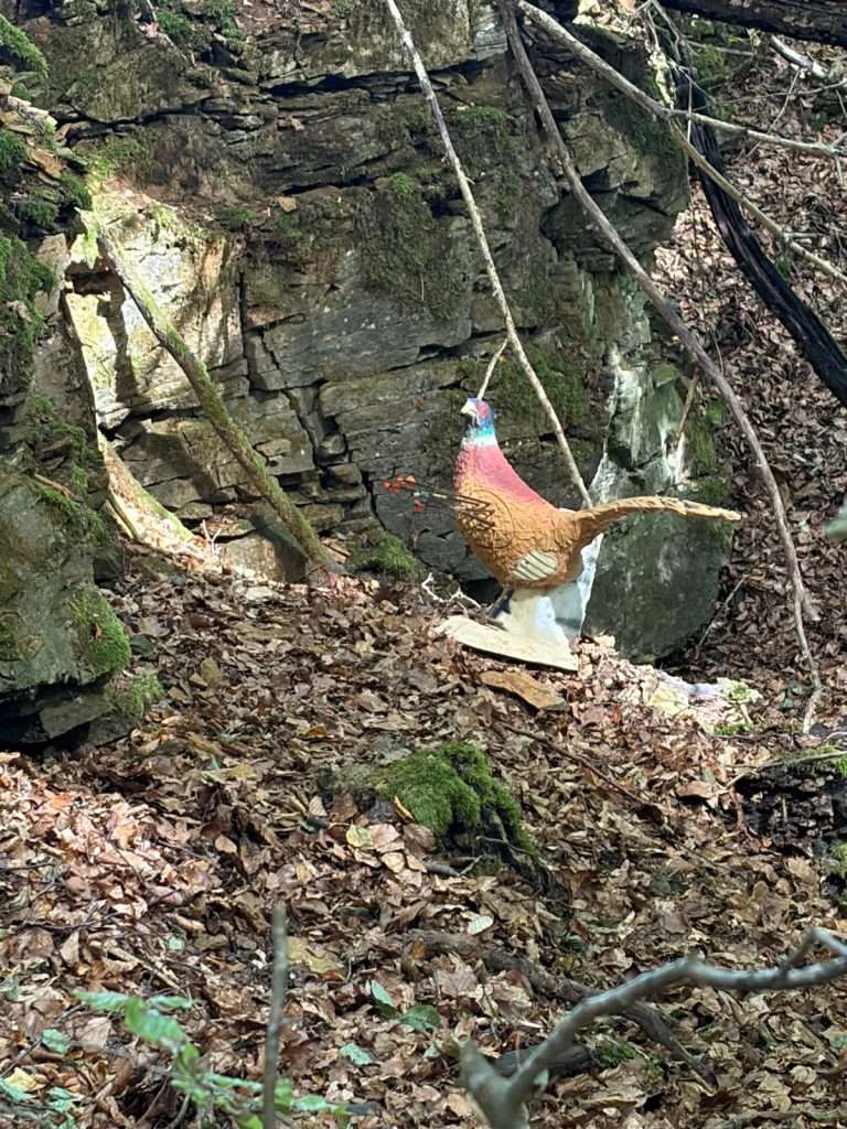 3D-Fasanziel auf einem laubbedeckten Hang vor einer Felswand
