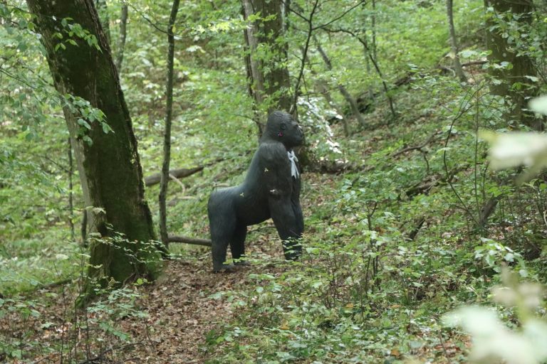 3D-Ziel eines Gorillas zwischen Bäumen im grünen Unterholz