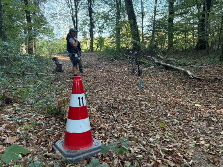 Rot-weißer Leitkegel mit der Nummer 11 markiert eine Station auf dem Waldweg