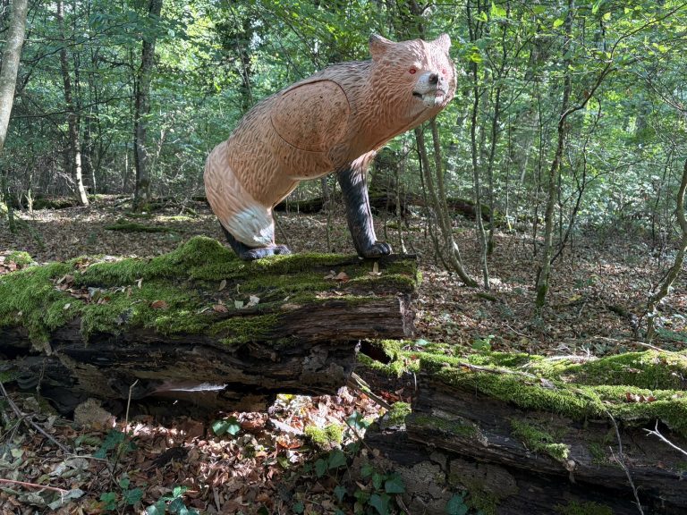 3D-Fuchsziel auf einem moosbewachsenen, liegenden Baumstamm