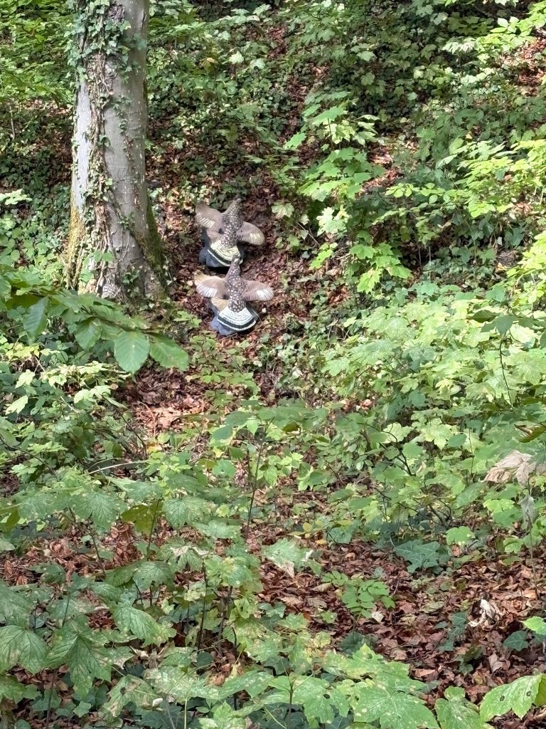 Kleine 3D-Ziele auf einem bewachsenen Waldhang