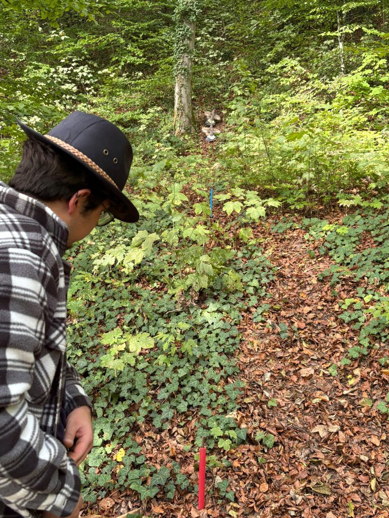 Mann mit Hut und kariertem Hemd blickt auf einen bewachsenen Waldhang