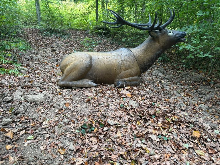 3D-Ziel eines liegenden Rothirschs mit großem Geweih auf dem Waldboden