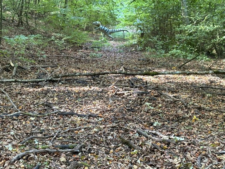 Laubbedeckte Schneise im Wald, am Ende ein 3D-Ziel zwischen den Bäumen