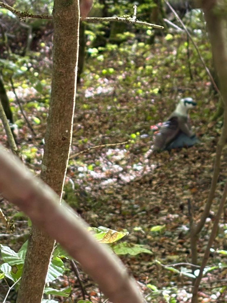 3D-Vogelziel auf einem laubbedeckten Hang zwischen Ästen