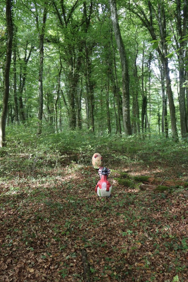 Zwei kleine 3D-Ziele auf dem Waldboden zwischen hohen Buchen
