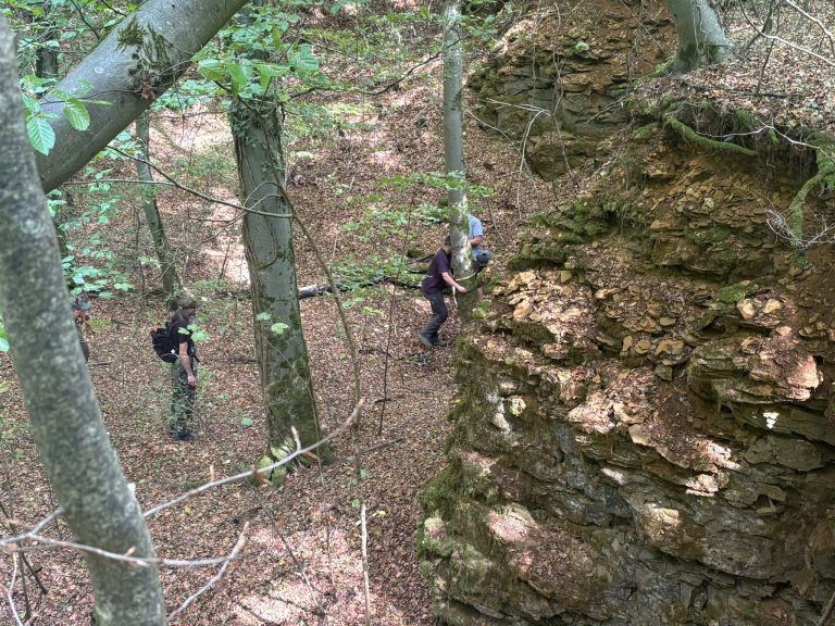Bogenschützen auf einem steilen Waldhang neben einem großen Felsen