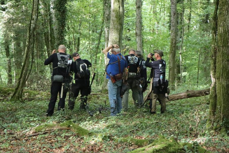 Gruppe von Bogenschützen steht zwischen hohen Bäumen im Wald