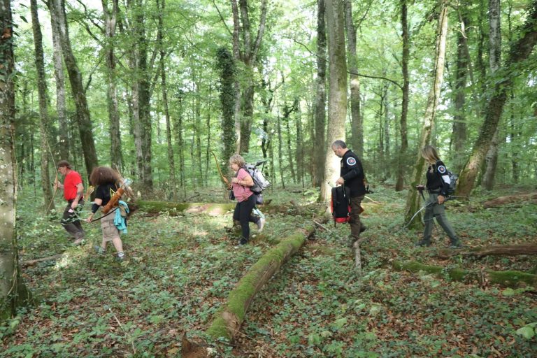 Bogenschützen gehen durch einen lichten Buchenwald über einen umgestürzten Baum