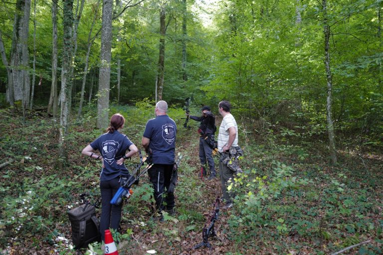 Vier Bogenschützen gehen mit ihrer Ausrüstung in einen grünen Laubwald