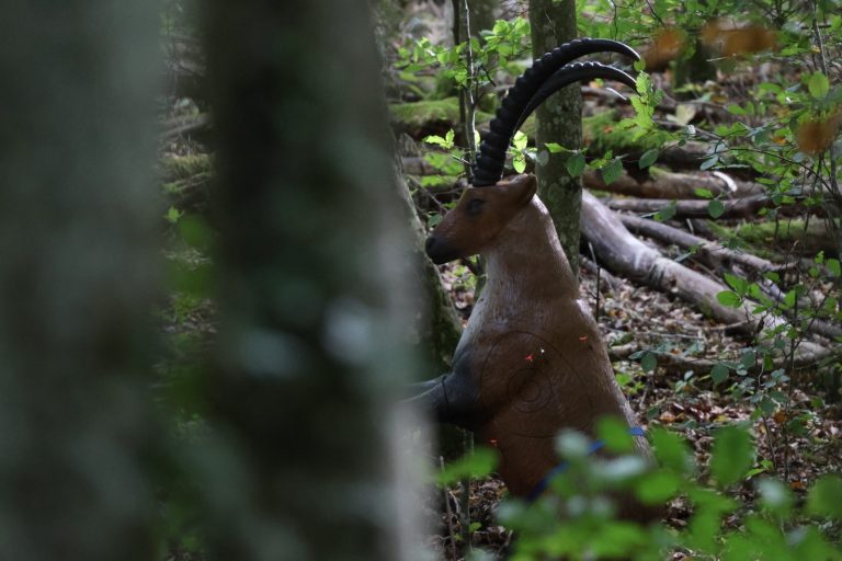 3D-Steinbock auf den Hinterbeinen, halb verdeckt von einem Baumstamm