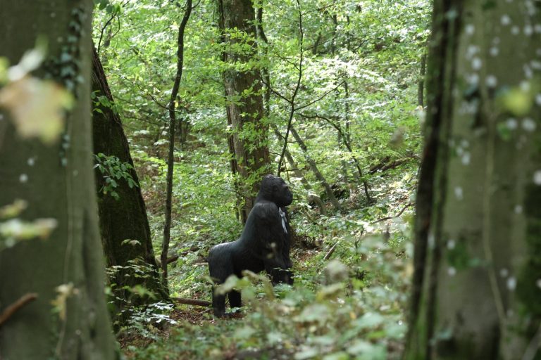 3D-Ziel eines Gorillas zwischen Bäumen im Laubwald