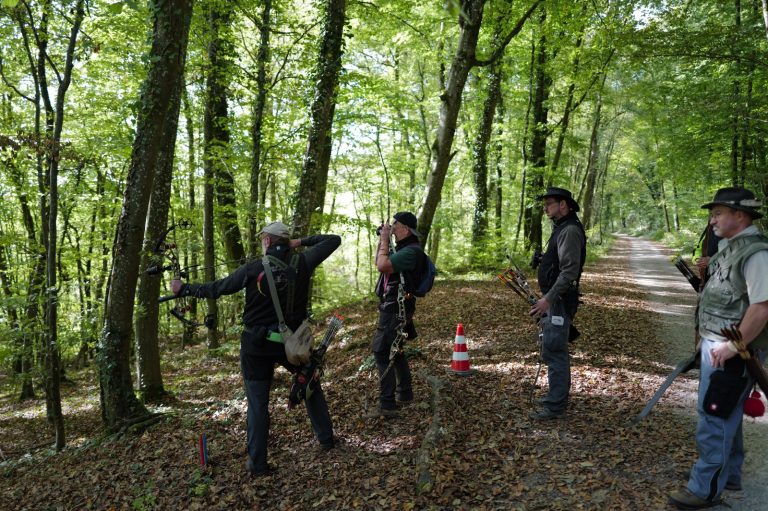 Bogenschütze zielt neben einem Waldweg, drei weitere Schützen warten dahinter
