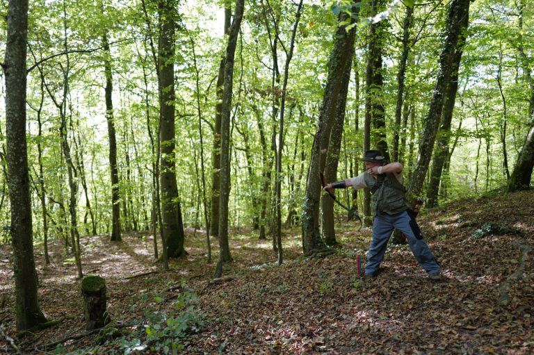 Bogenschütze zielt zwischen hohen Buchen im lichten Wald