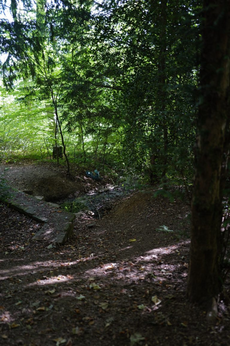 Schmaler Waldweg zwischen hohen Bäumen auf dem 3D-Bogenparcours