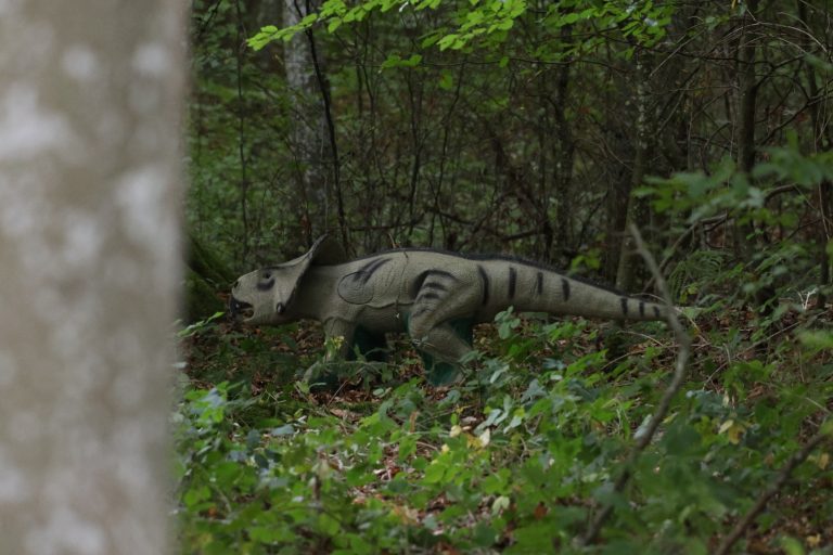 3D-Ziel eines gehörnten Dinosauriers im grünen Waldunterholz