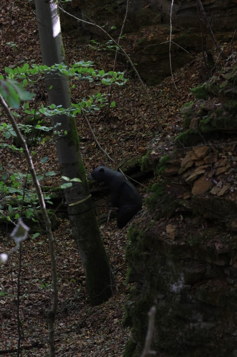 Schwarzes 3D-Bärenziel an einem Baumstamm vor einer Felswand im Wald