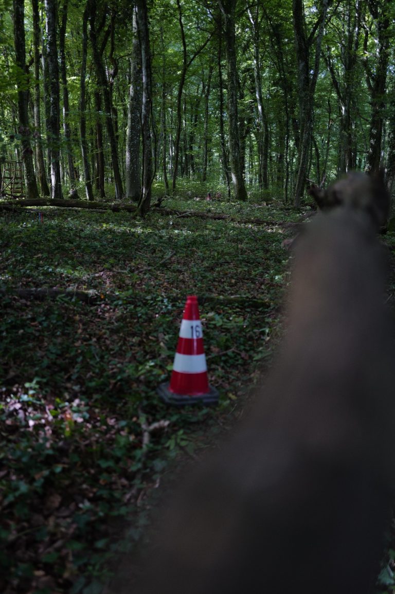 Waldstück mit rot-weißem Leitkegel, im Vordergrund unscharf ein Baumstamm